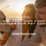 Comfort Dog Sympathy Quotes