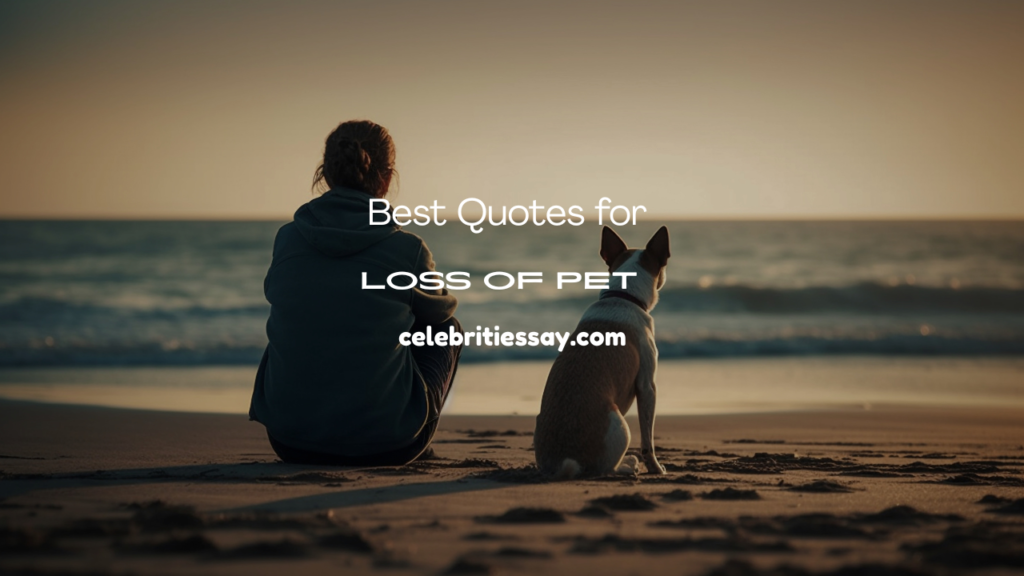 Quotes for Loss of Pet