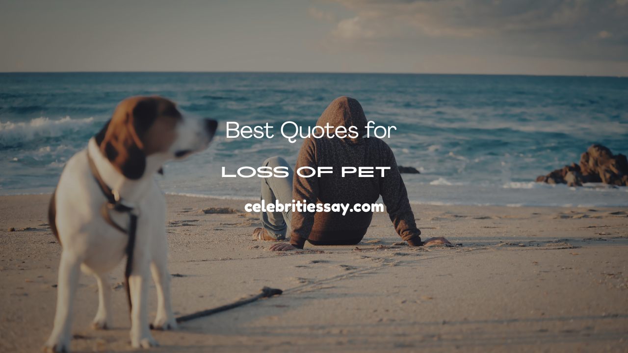 Quotes for Loss of Pet