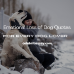 Loss of Dog Quotes